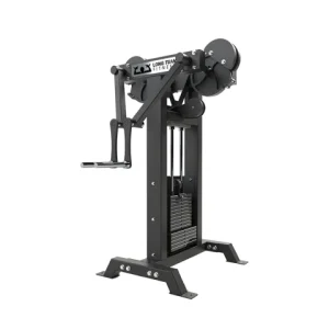 STANDING LATERAL RAISE